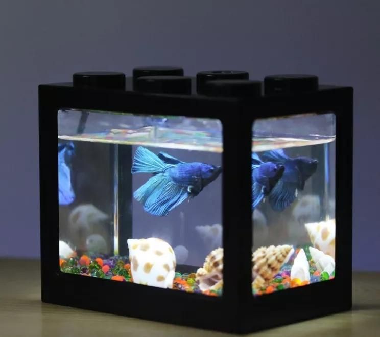 Wholesale Aquarium Fish Tank Acrylic Fish Tank for Sale Mini Fish Aquarium Price Good