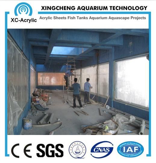 Clear Plexiglass Acrylic Sheet Aquarium for Restaurant Project Price