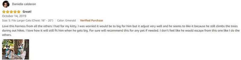 Escape Proof Adjustable Soft Mesh Cat Harness Vest and Leash Set with Reflective Strips