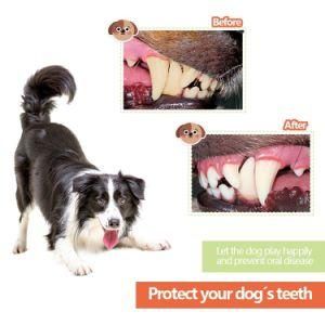 Pet Supply Wholesale Dog Teeth Cleaning Rubber Chew Toy Indestructible Treat Dispensing Toys Pet Product for China