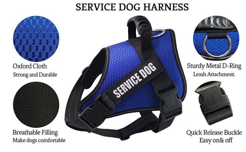 Spupps Blue Color Non-Pull Dog Harness with Soft and Breathable Padding Medium Size
