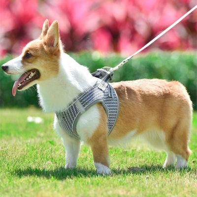 Soft Padded Breathable Dog Harness for Small Medium Dog Cat