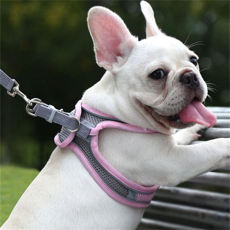 Dog Cat Harness Vest with Walking Lead Leash