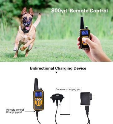 Rechargeable Waterproof Remote Electronic Dog Training Smart Dog Collar/Factory Price/Pet Toy