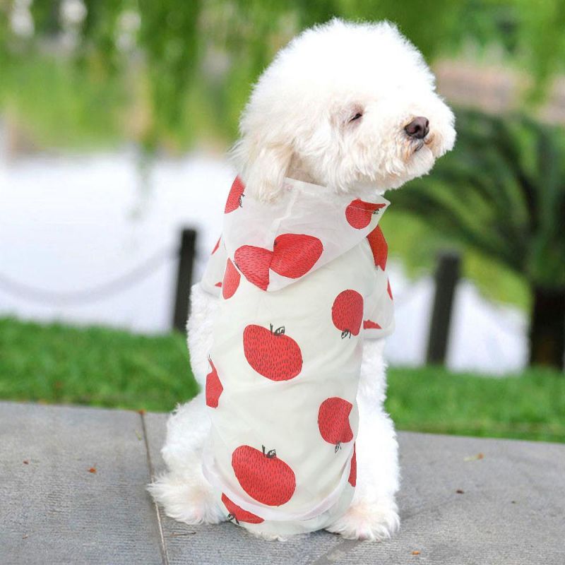 New Summer Hoodie Print Poncho Small and Medium Sized Sun Protection Waterproof Pets Dog Clothing