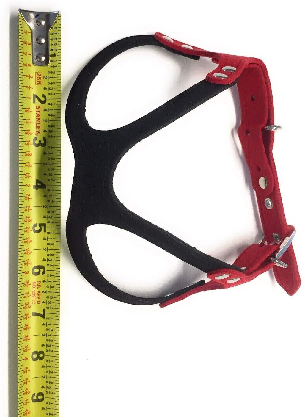 Dog Harness Buddy Belt Style