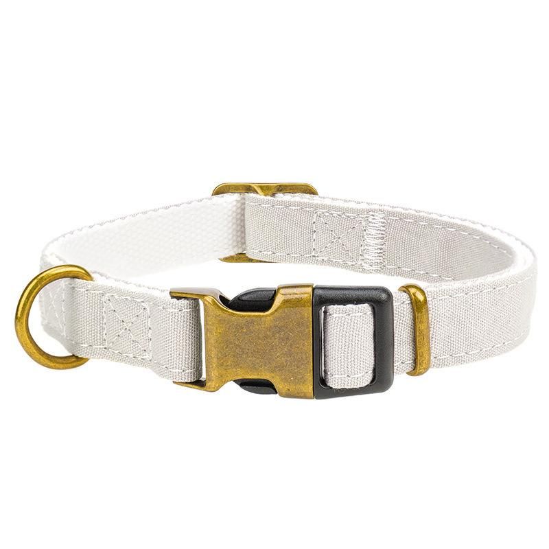 Customized Specification Polyester Cotton Material Electroplating Colorful Canvas Dog Collar and Leash