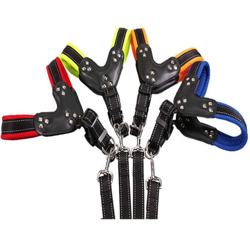 Shining Colorful Pet Harness with Pet Leash Set