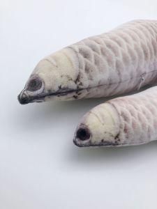 Size M 3D Silver Arowana Stuffed PP Cotton Plush Toy Cat Toys Baby Toy for Cat