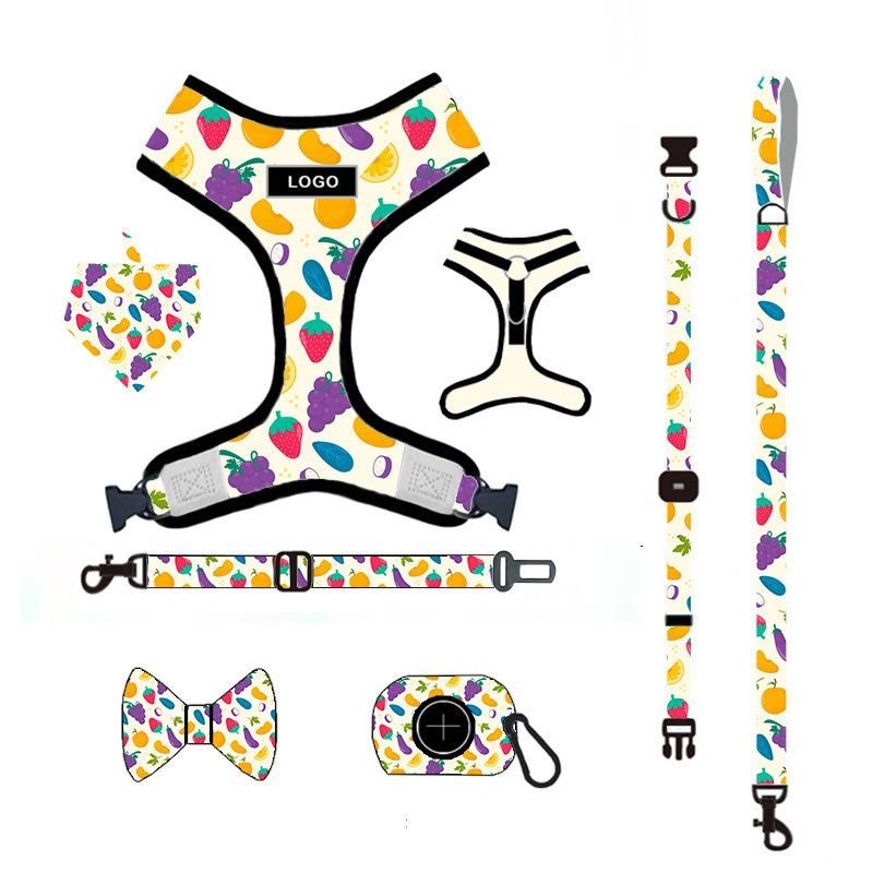 Custom Logo Design, Dog Leash, Harness, Collar, Poop Bag, Bandana and Bow Tie, Pet Dog Leash Set