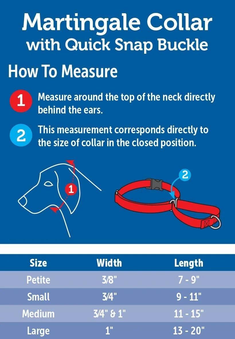 Sturdy Dog Training Collar Anti-Escape Alternative to Choke Collar