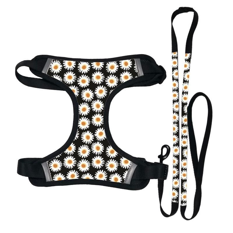 High Quality Fast Delivery Dog Leash Poop Bag Collar a Set Customize Dog Harness