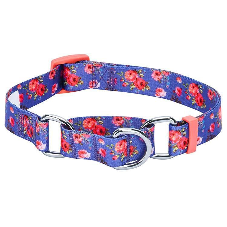 Custom Logo Printed Pattern Martingale Dog Collar