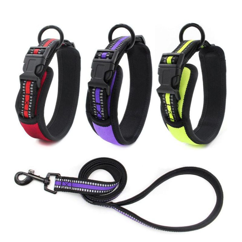 Large Dog Collar with Neoprene Lining and Reflective Stripes