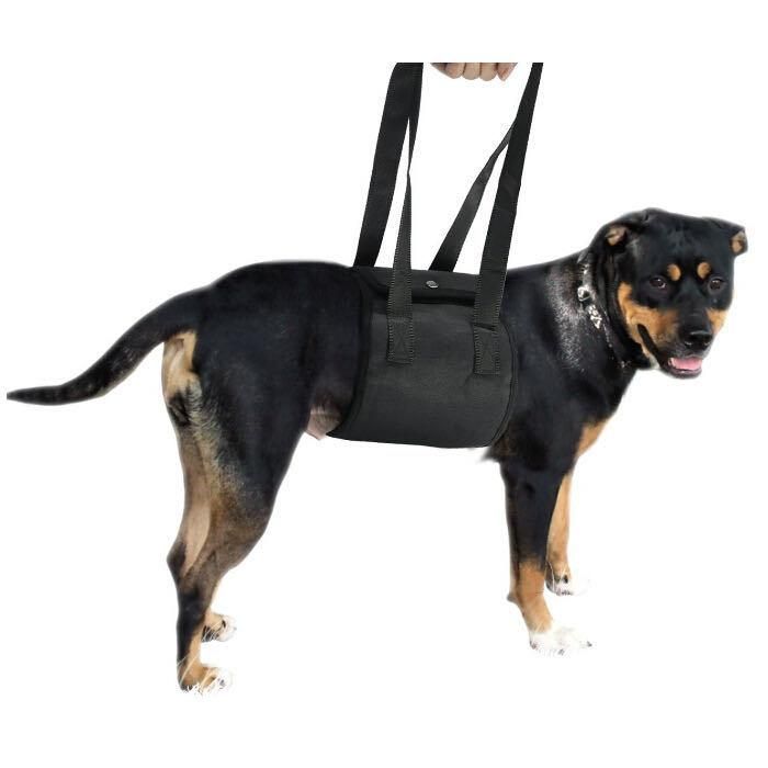 Portable Pet Dog Auxiliary Belt Dog Lift Support Go Upstairs Pets Rehabilitation Harness Assist Sling