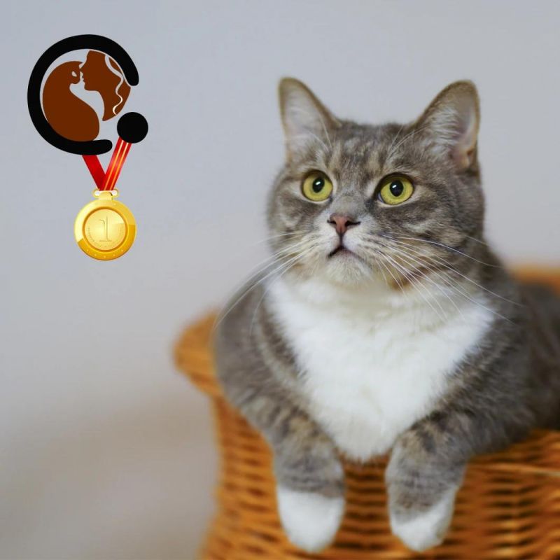 Recommend Fast Clump Tofu Cat Litter