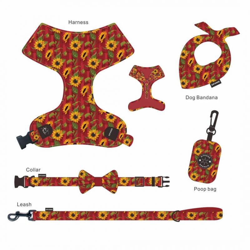 Hot Selling Factory Wholesale Custom Logo Dog Collar and Leash Harness Set