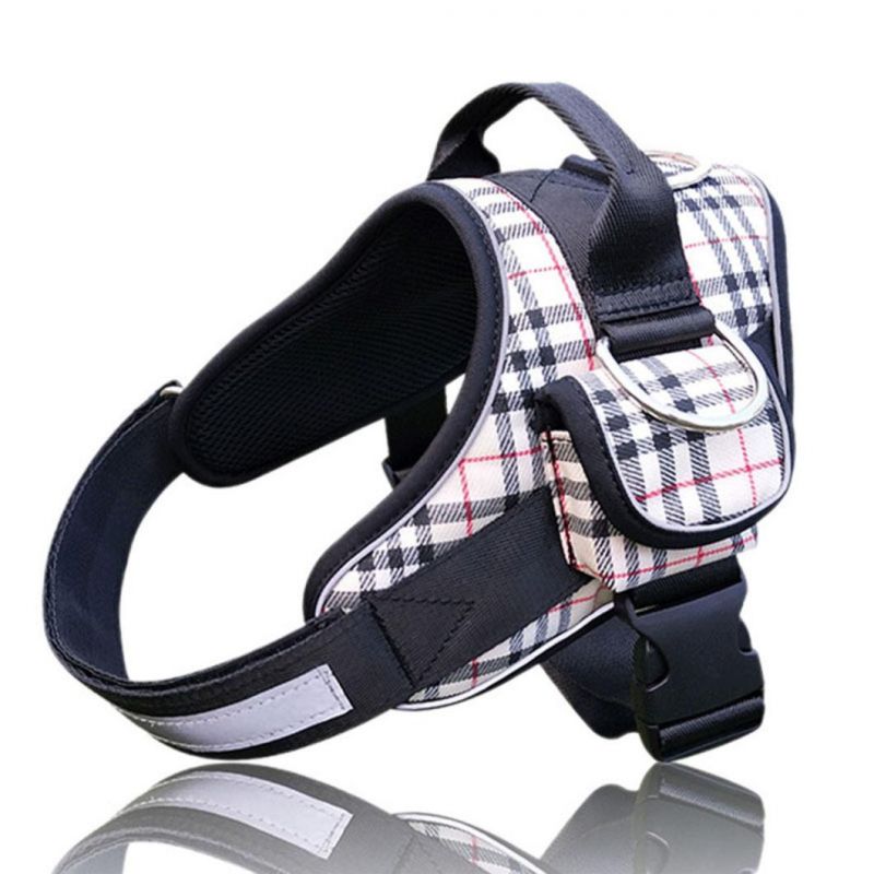 Fashionable and Popular Dog Harness with a Little Pocket at Side