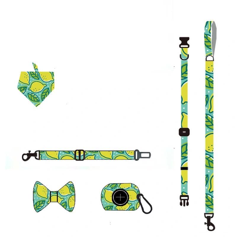 Custom Logo Sublimation Printing Adjustable Pet Dog Harness and Leash