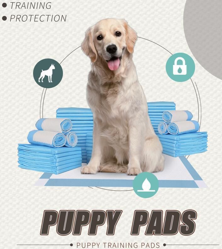 Pet Supply Hot Sale High Absorbent Disposable Puppy Training Pad Pet Training Products Dog PEE Pads
