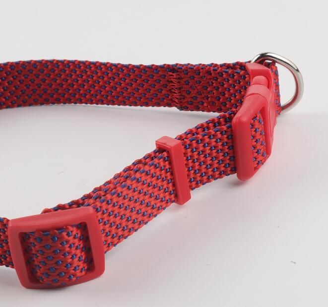 Hot Sell Polyester Dog Collar