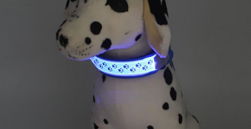 LED Dog Collar LED Pet Bandage for Night Safety