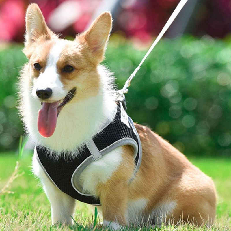 Dog Harness and Leash No Pull Reflective and Breathable Pet Harness