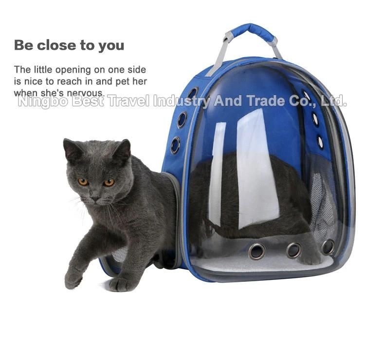 Airline-Approved Travel Cats and Dog Puppies Bubble Backpack Transparent Capsule Ventilated Small Pet Backpack Bag Carrier
