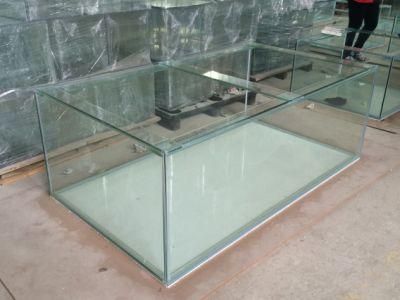Custom Large Glass Aquarium Tank