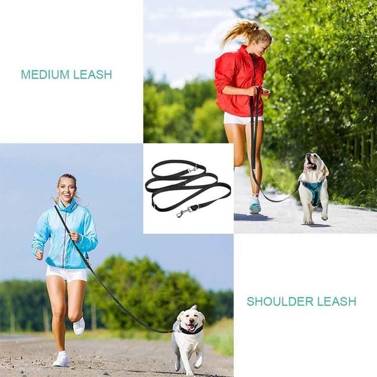 Training Lead Dog Lead Heavy Duty No Pull Dog Leash Training Agility Lead for Training, Play, Walking, Camping or Backyard Multifunction Double Clip 2 Triggers