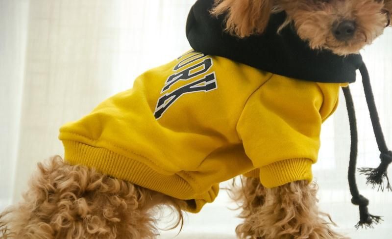 Spring and Autumn New Dog Hoodie Small Dog Two-Legged Clothing Adult Pet Parent-Child Clothing