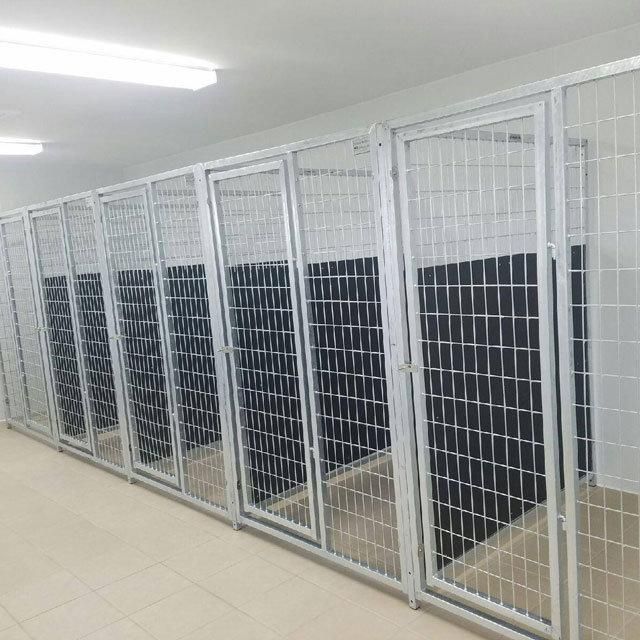 Welded Wire Dog Boarding Kennel Building