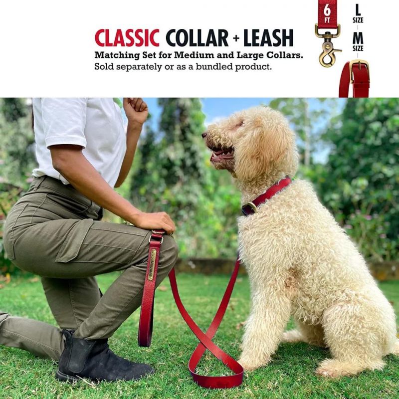 Tough Rust-Proof All Metal Hardware Waterproof Dog Collar
