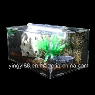 Custom Acrylic Reptile Terrarium Habitat, Ideal for Small Reptiles