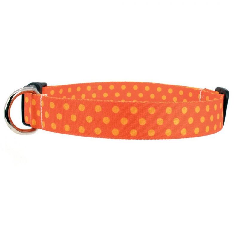Hot Selling Colorful Hot Transfer Printed Cute Dots Dog Collar