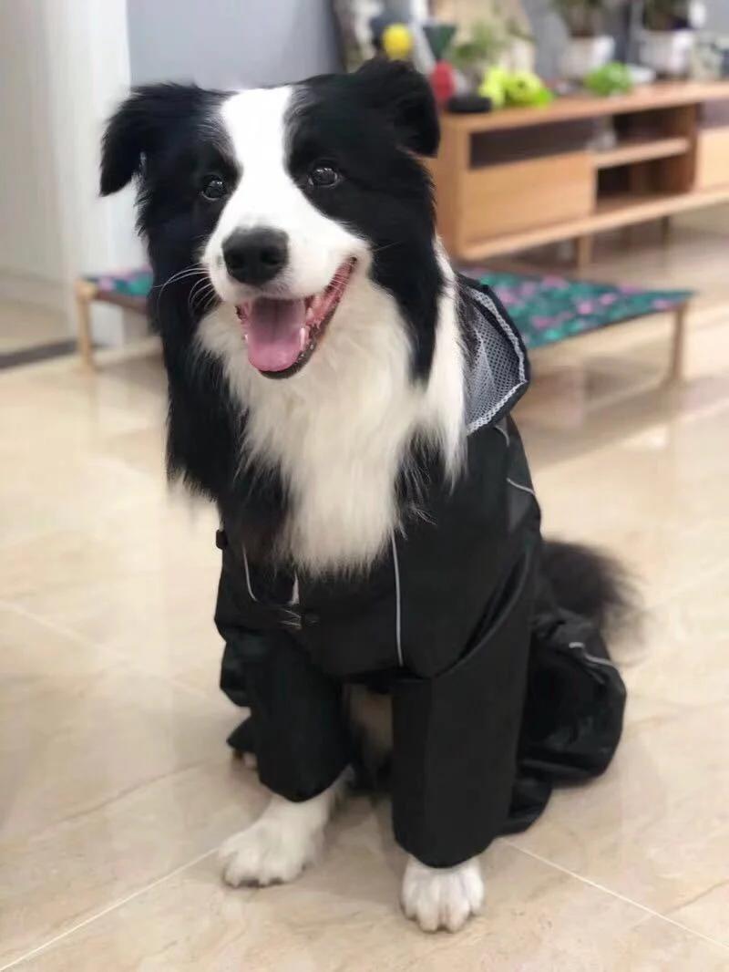 Big Dog Siamese Raincoat Breathable Reflective Big Hat Four Feet Pet Poncho