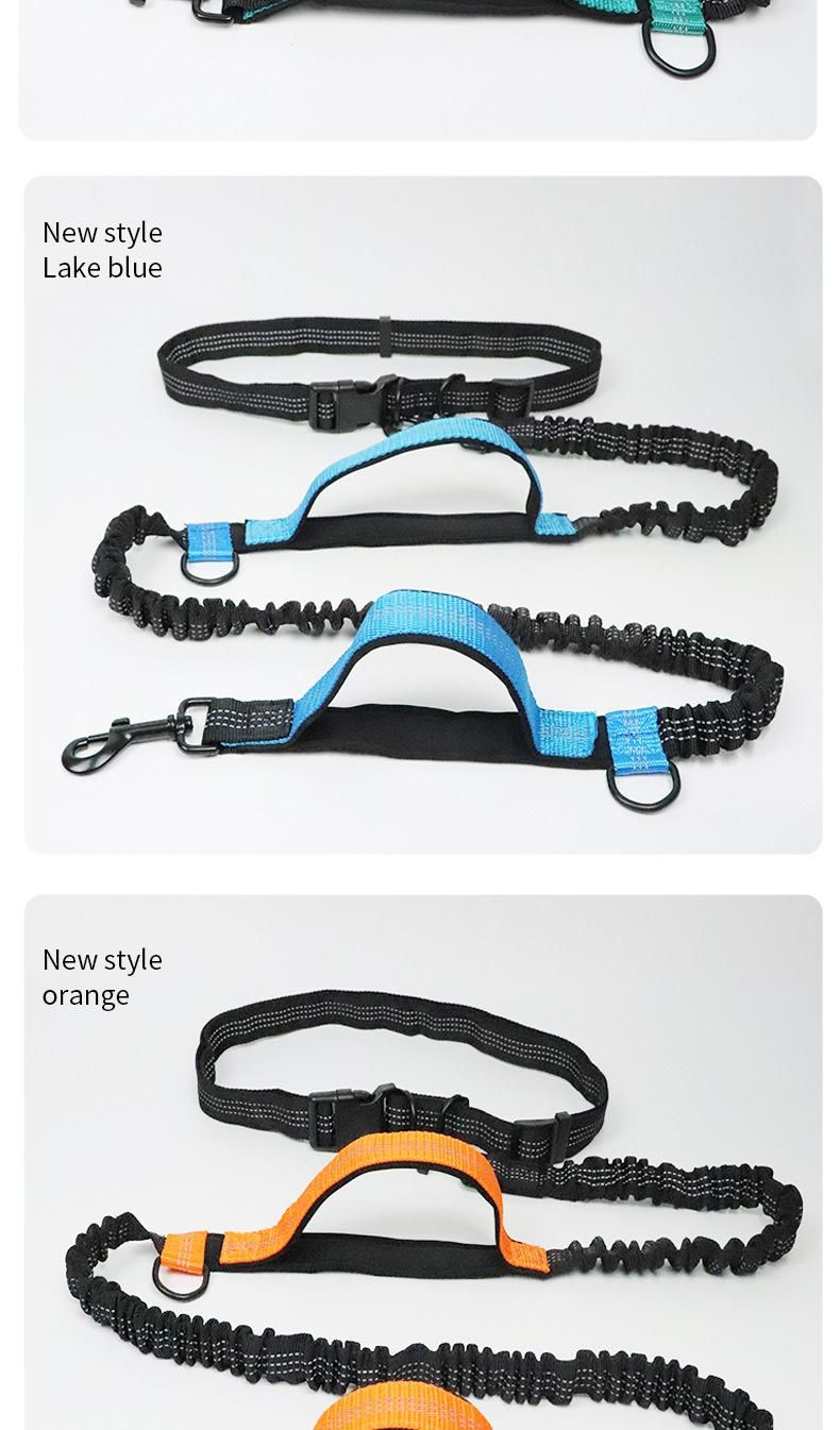 Outdoor Convenient 2 Handles Bungee Comfortable Smooth Texture Pet Leash Set