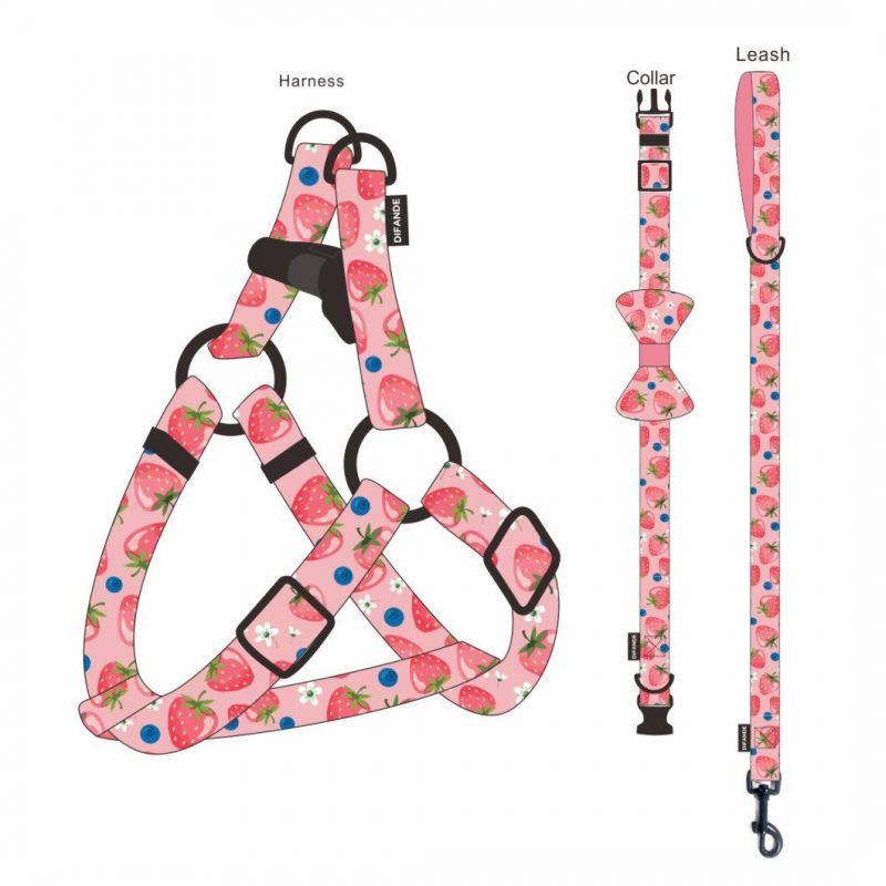 Classical Fruit Soft Padded Dog Collar and Leash for Pet Cat Dog Leash Collar Set
