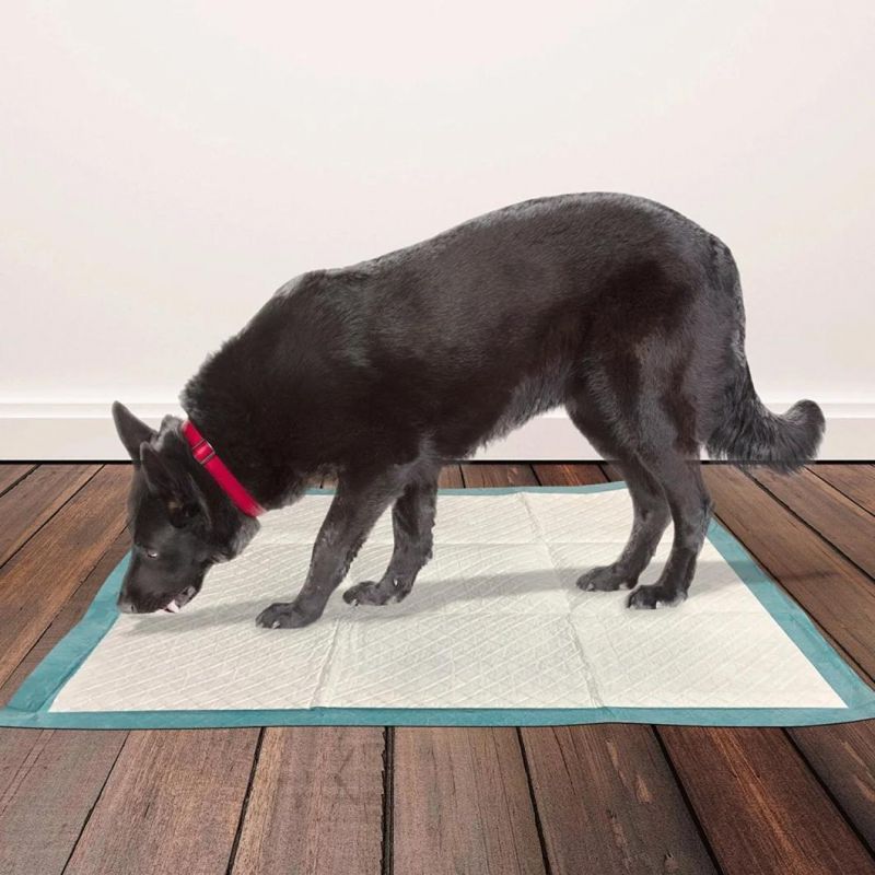 Super Absorbent Dog PEE Pad 100 Thicken Indoor Training Pads