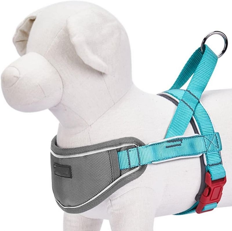Neoprene Padded & Durable Material Dog Harness