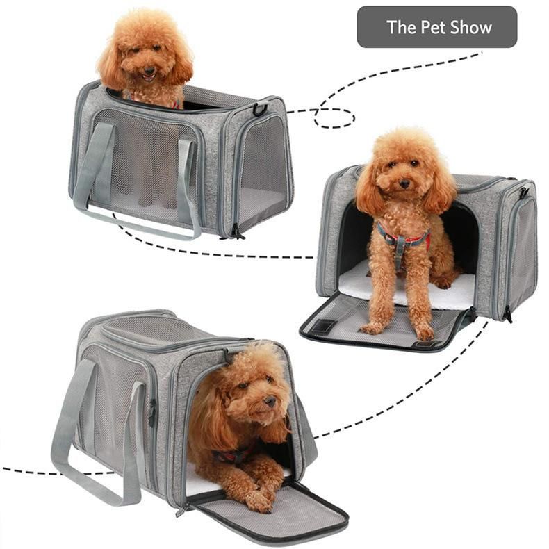 Customize OEM ODM 2022 Folding Transport Carrier Pet Backpack