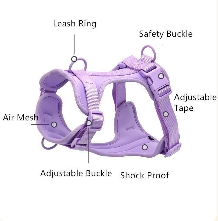 OEM Waterproof Pet Accessories Pet Dog Rubber Collar Leash, Pet Harness