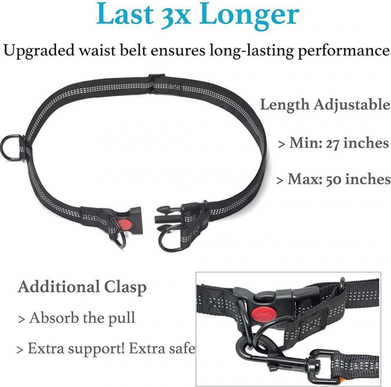 Hands Free Dog Leash with Dual Padded Handles and Durable Bungee