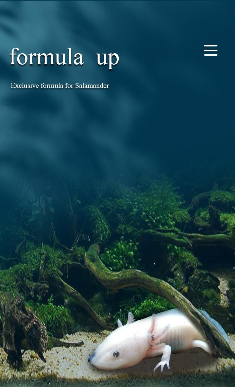 Yee Salamander Food Salamander Exclusive Food High Protein Food
