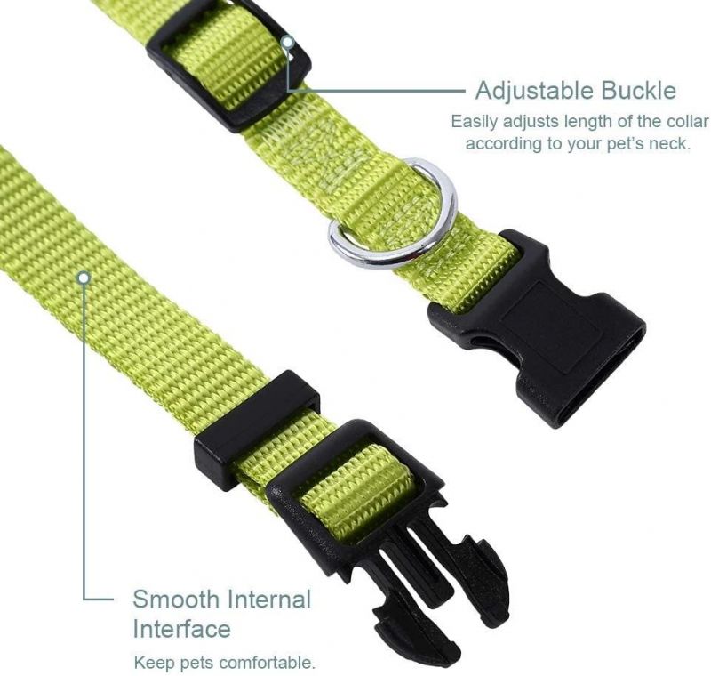 Cheap Price Pet Accessories Nylon Soft Leash Dog Collar