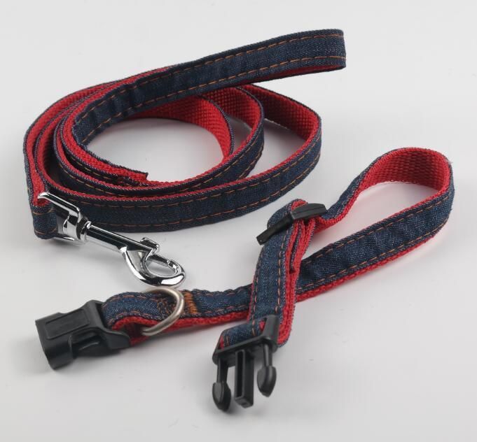 Custom Pet Dog Training Leash Collar