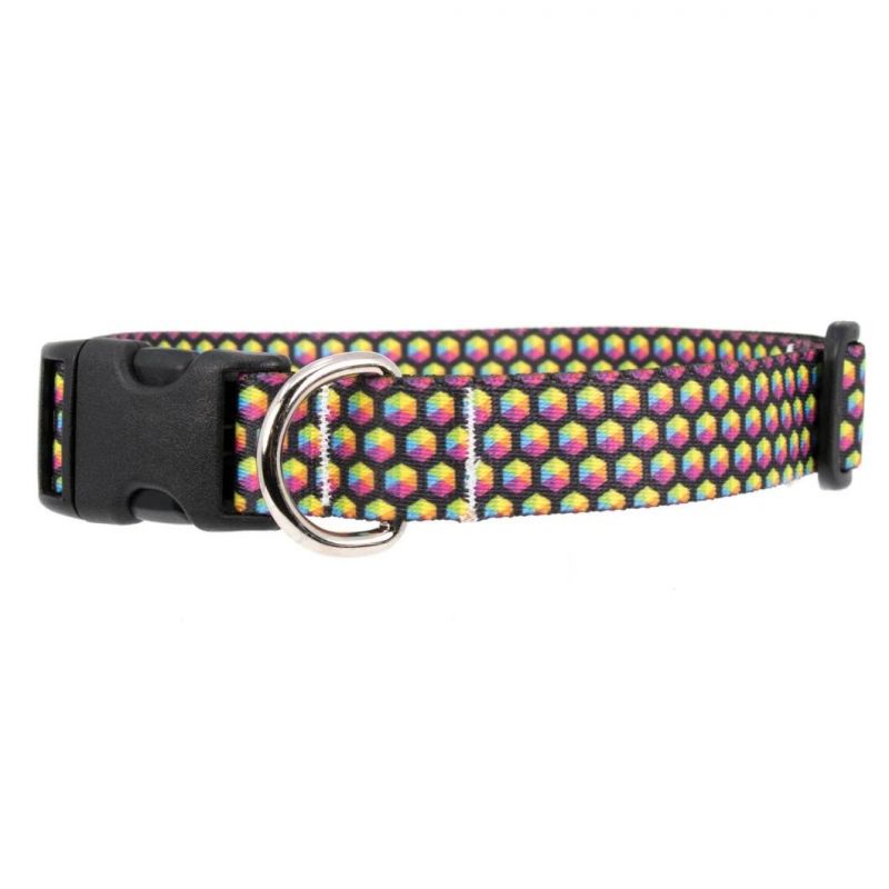 Manufacturer New Design Rainbow Arches Dog Collar Hot Transfer Printing
