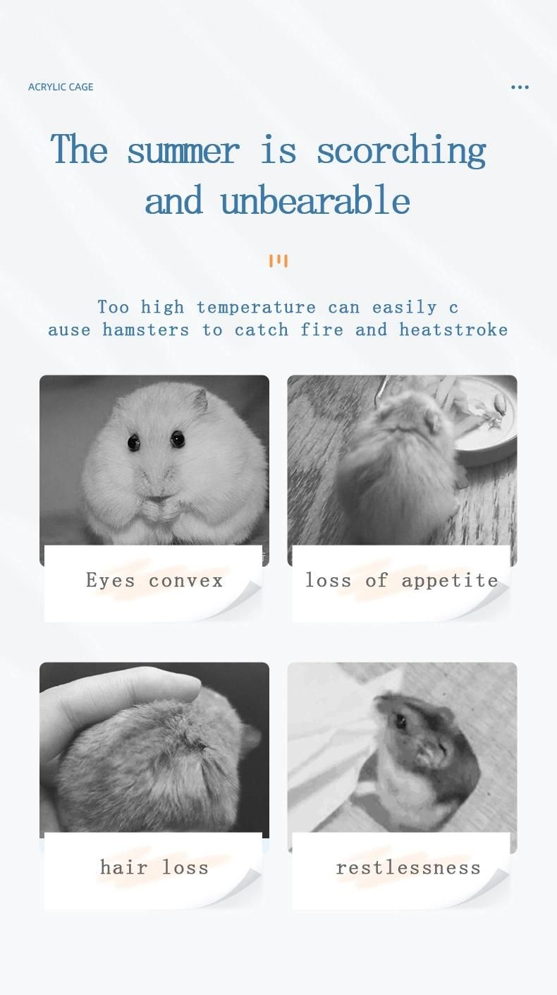 Heat and Fire-Reducing Rat Tea Nutritional Hamster Snacks