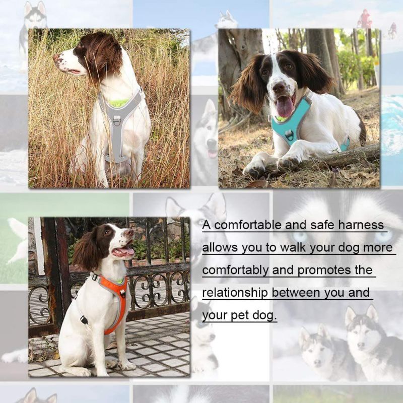 Easy Dog Vest Harness with Damping Belt Adjustable Soft Padded Dog Harness
