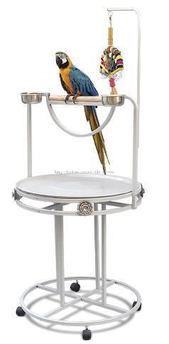 OEM ODM Pet Bird Parrot Feeding and Playing Stand Bird Perch 2022 Hot Sell Pet Accessories